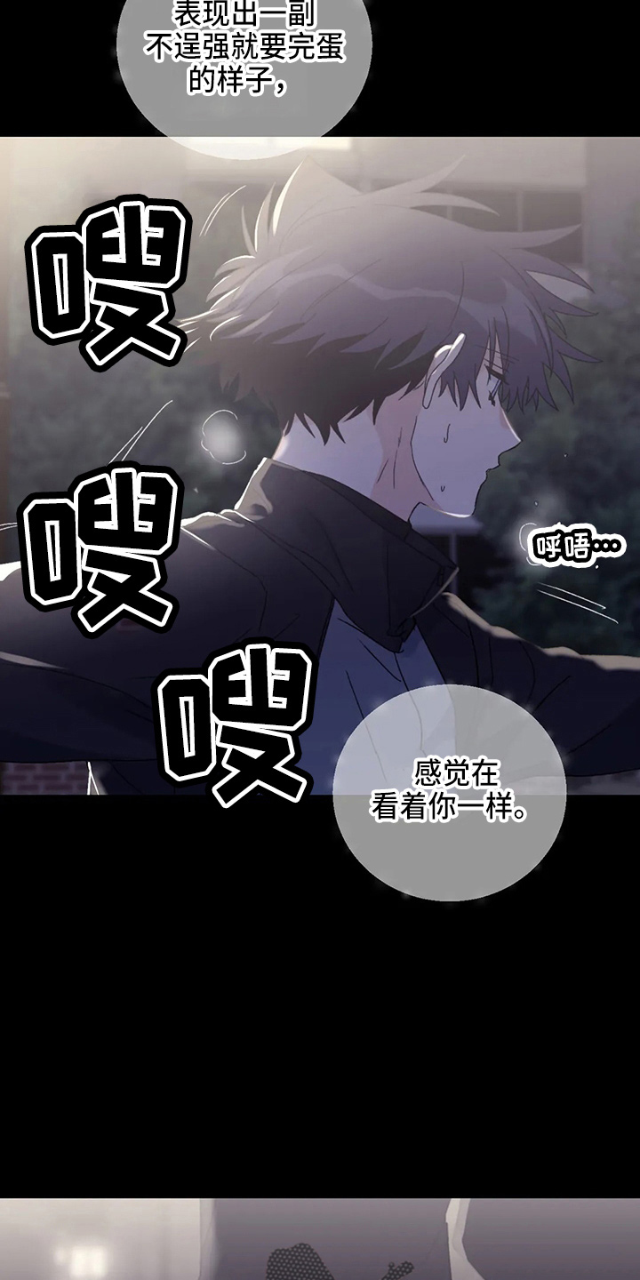 寻找波浪里的你漫画,第101章：【第二季】潜力股5图