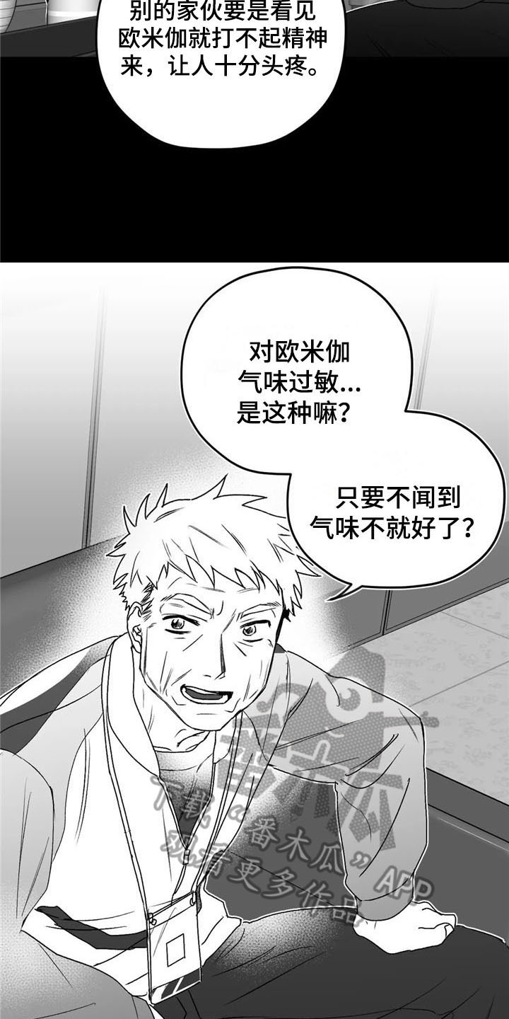寻找波浪里的你漫画,第29章：去路3图