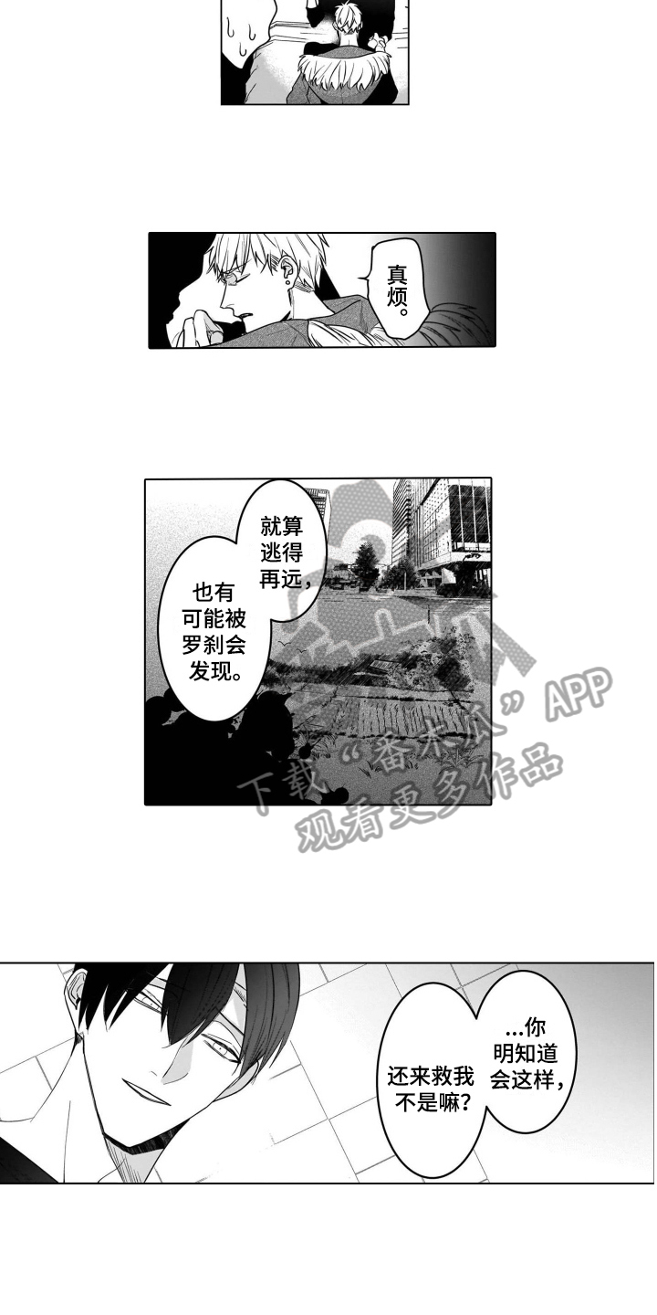 老虎的猎物漫画,第20章：恋人2图