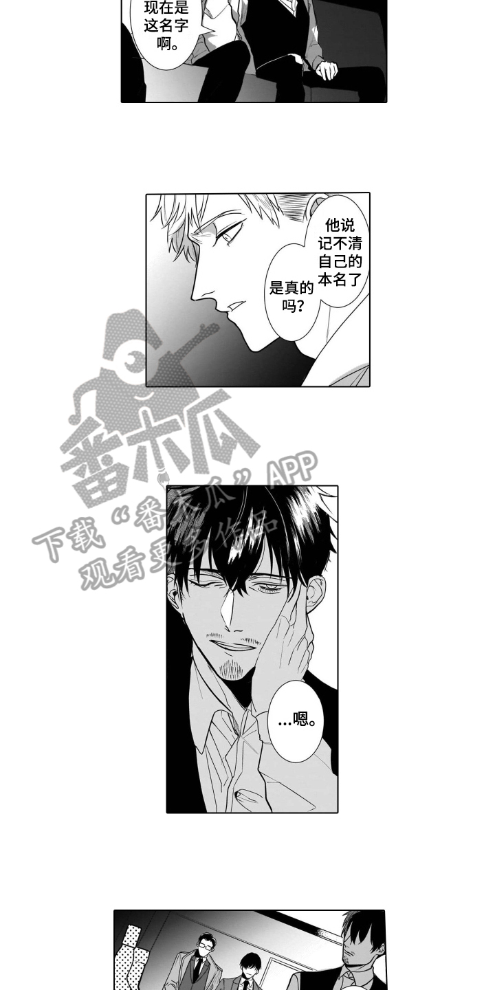 老虎的猎物漫画,第9章：袭击2图