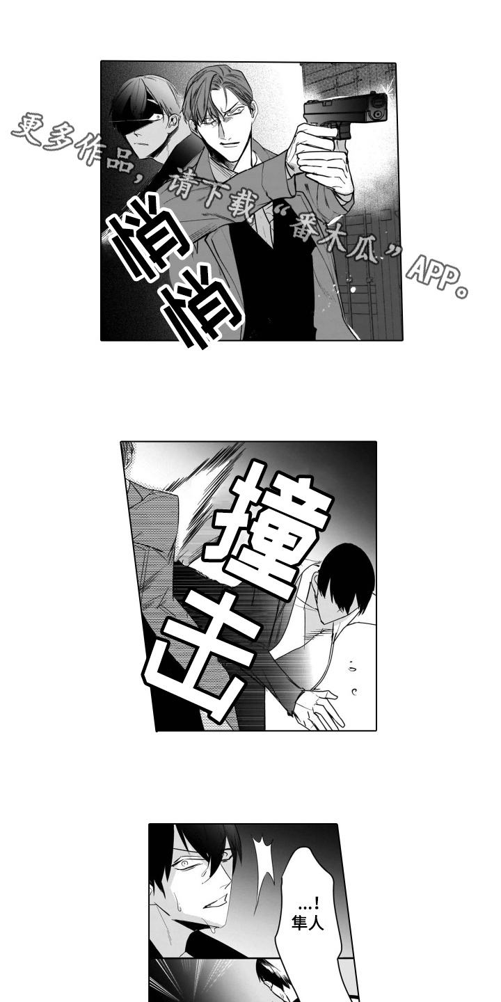 老虎的猎物漫画,第19章：后续1图