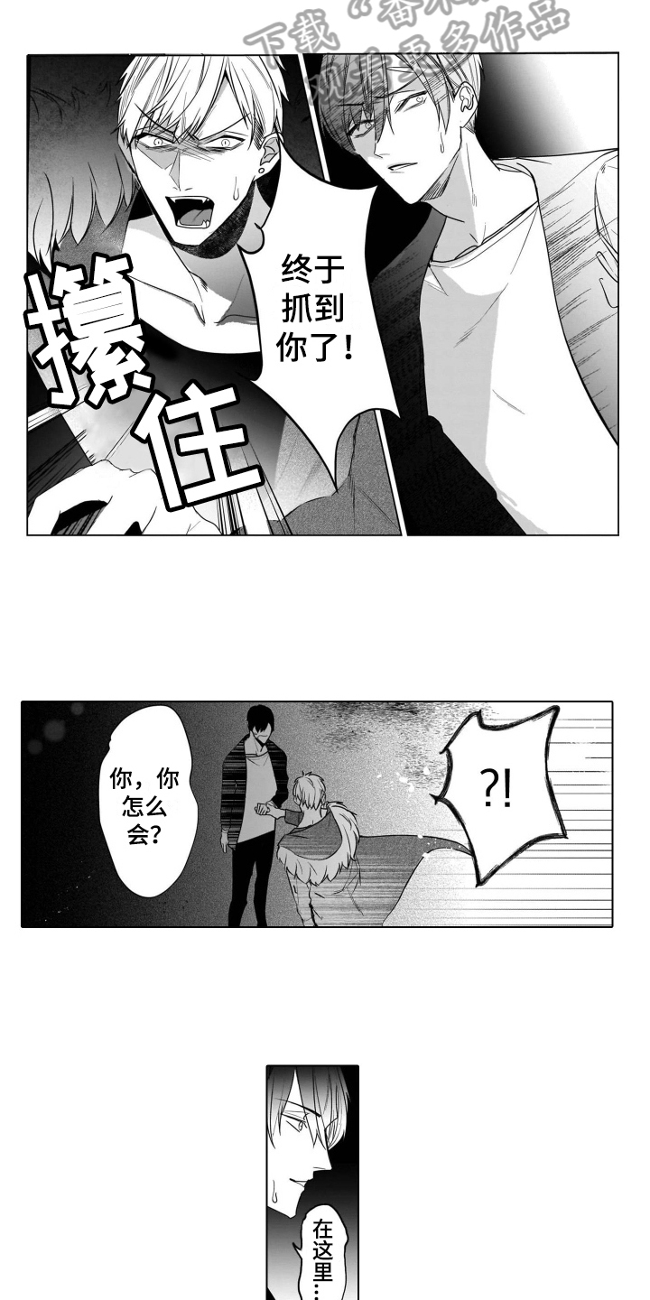 老虎的猎物漫画,第17章：想念5图