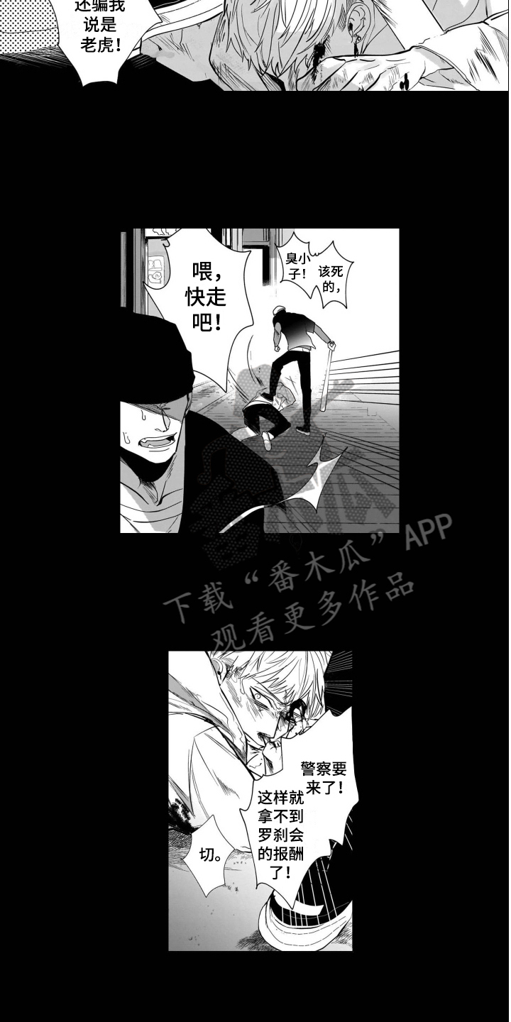 老虎的猎物漫画,第10章：条件5图