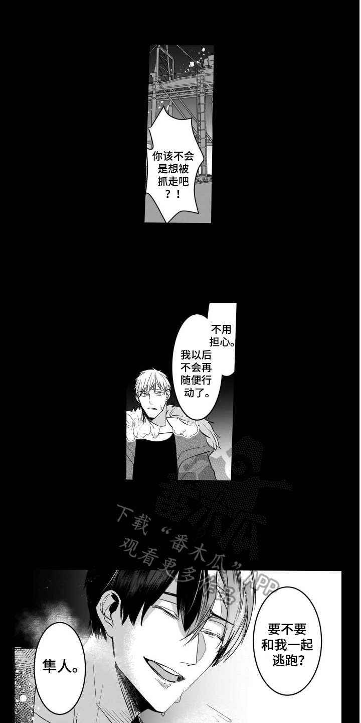 老虎的猎物漫画,第19章：后续4图