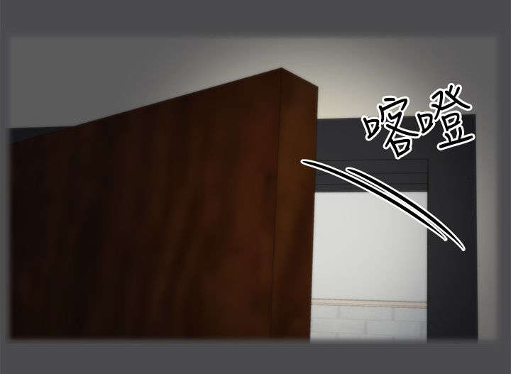 17025现场检验检测程序漫画,第4章：挥之不去3图