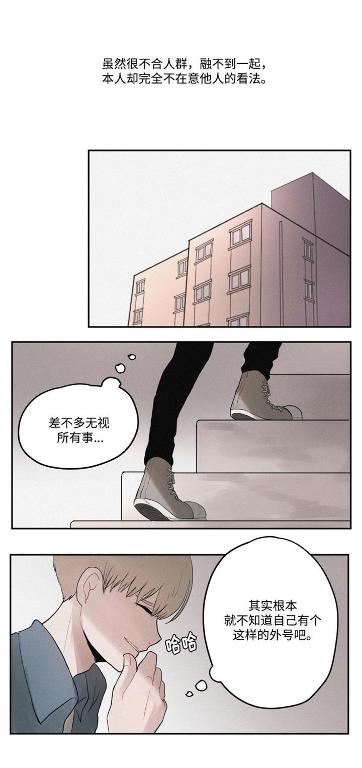 隐藏角色漫画,第1章：谜一样的男孩5图