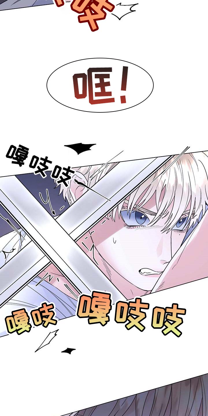 主人的宠物漫画,第80章：【第二季】比试1图