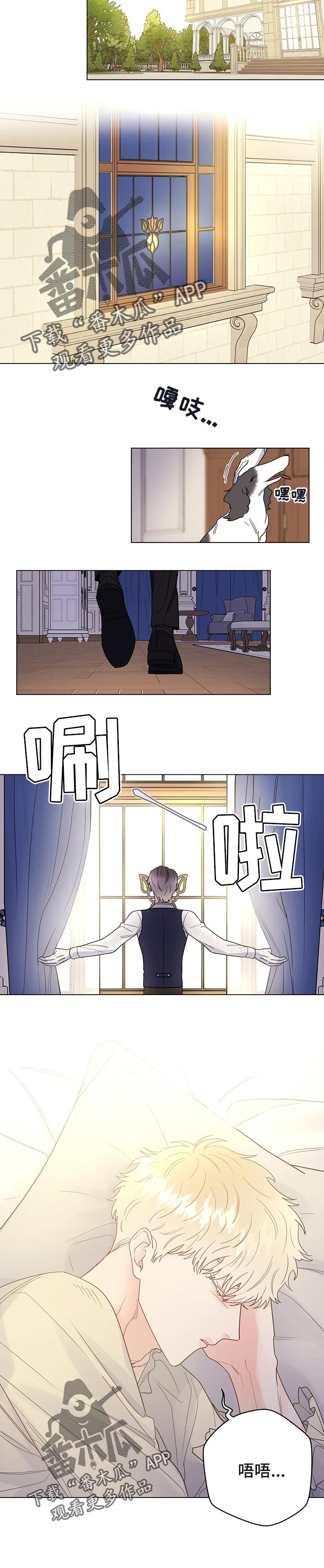 主人的宠物漫画,第47章：当做无事发生4图