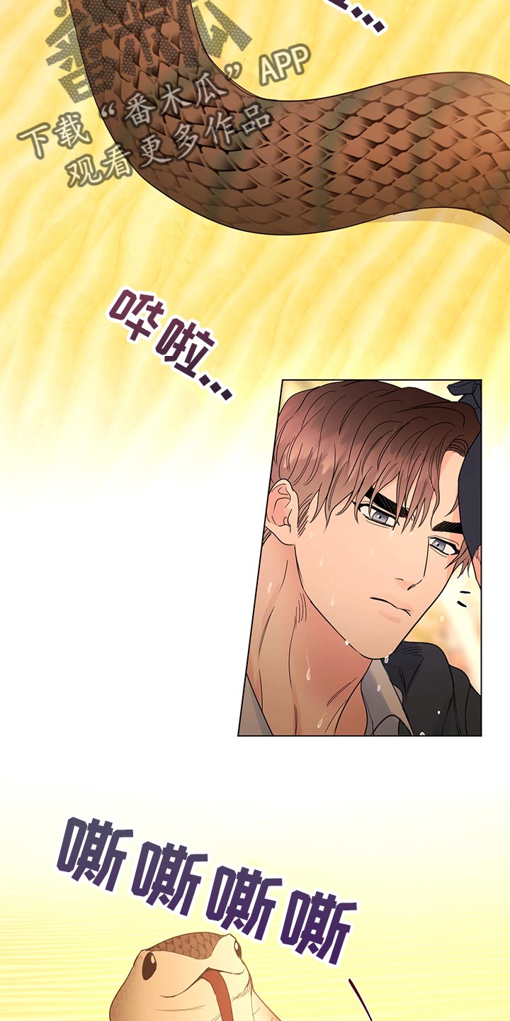 主人的宠物漫画,第111章：【番外】毒蛇2图
