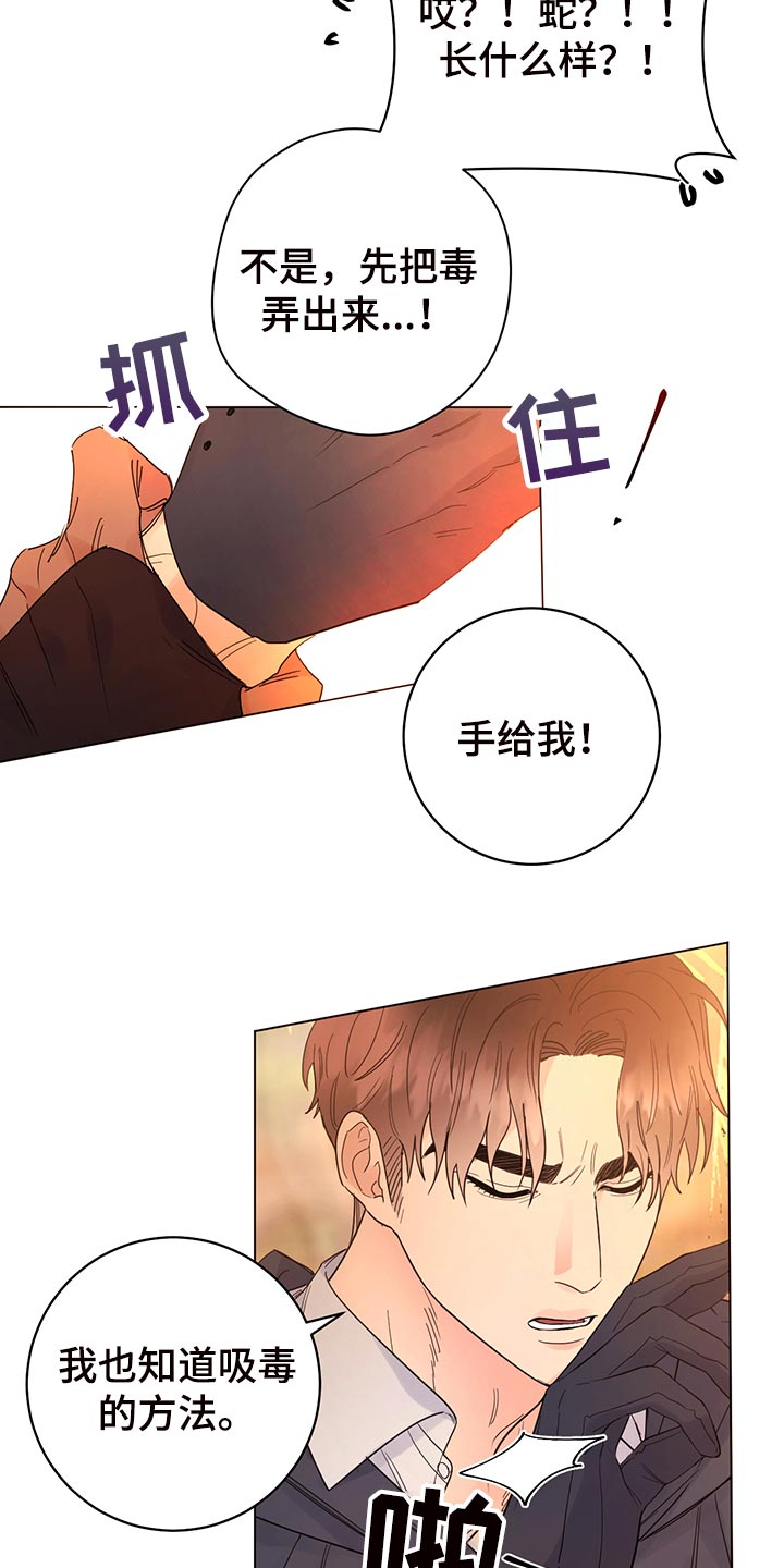 主人的宠物漫画,第111章：【番外】毒蛇2图