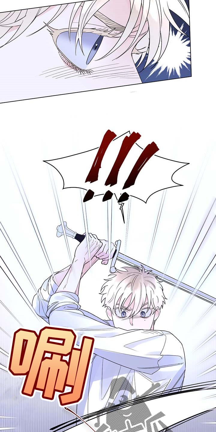 主人的宠物漫画,第80章：【第二季】比试4图
