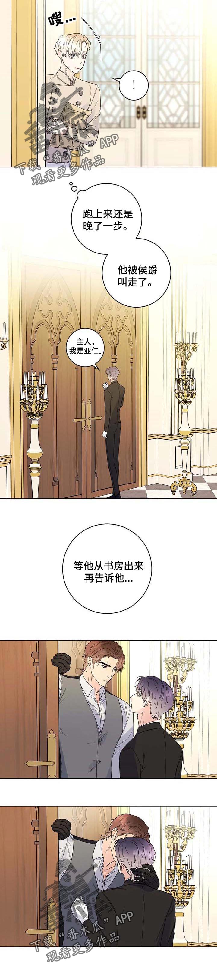 主人的宠物漫画,第71章：【第二季】汇报3图