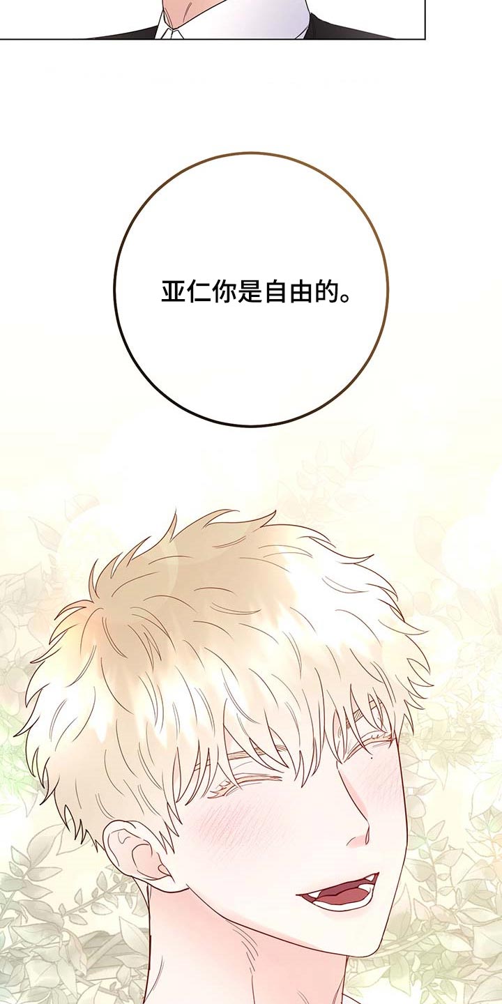 主人的宠物漫画,第98章：【第二季】你是自由的1图