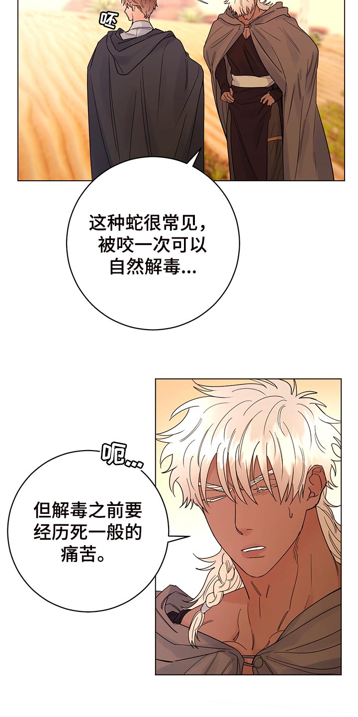 主人的宠物漫画,第111章：【番外】毒蛇5图