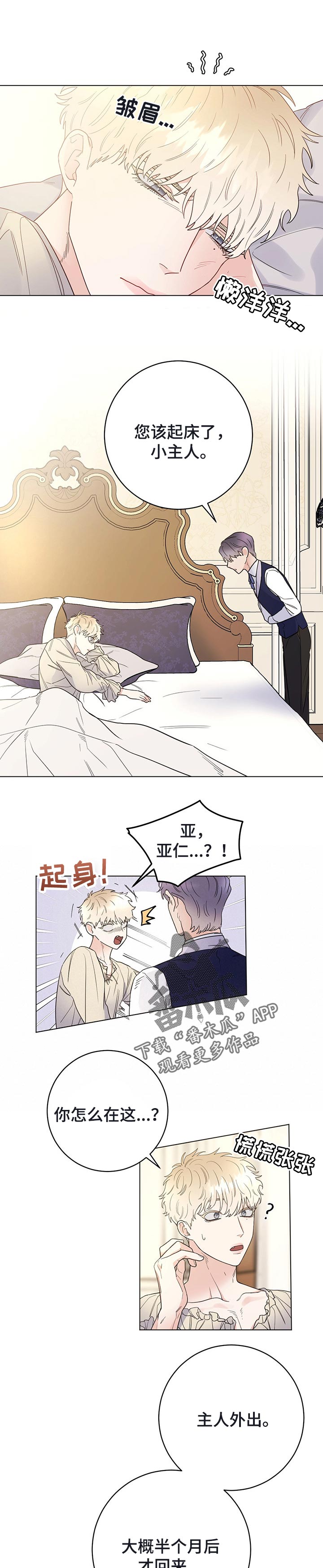 主人的宠物漫画,第47章：当做无事发生5图