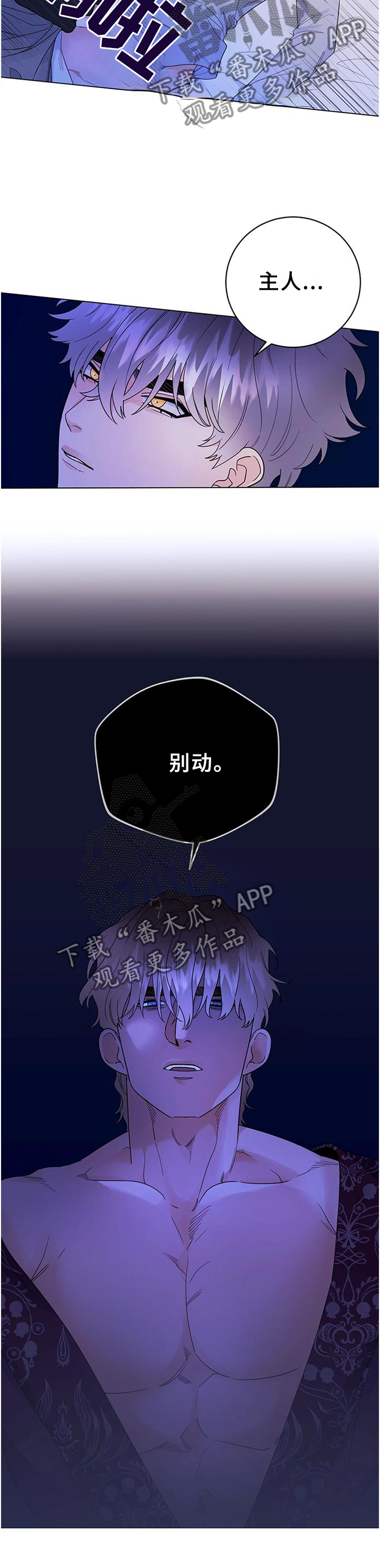 主人的宠物漫画,第33章：归来4图