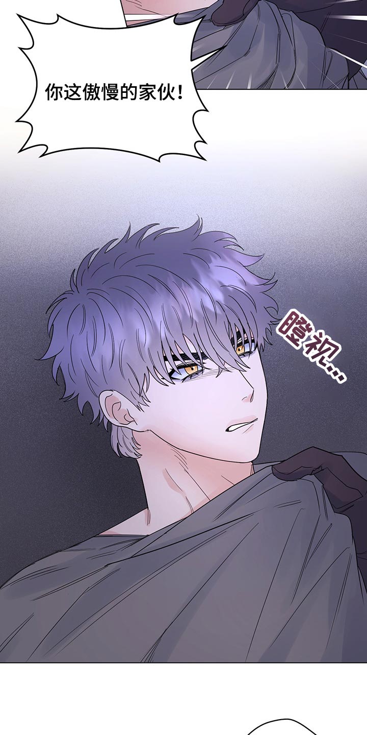 主人的宠物漫画,第94章：【第二季】礼物4图