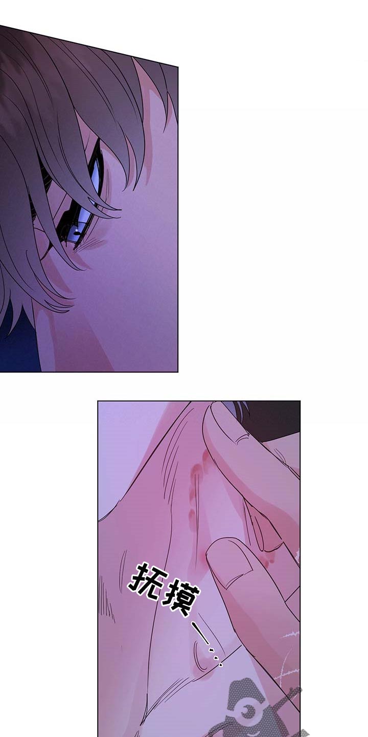 主人的宠物漫画,第85章：【第二季】重要的日子1图