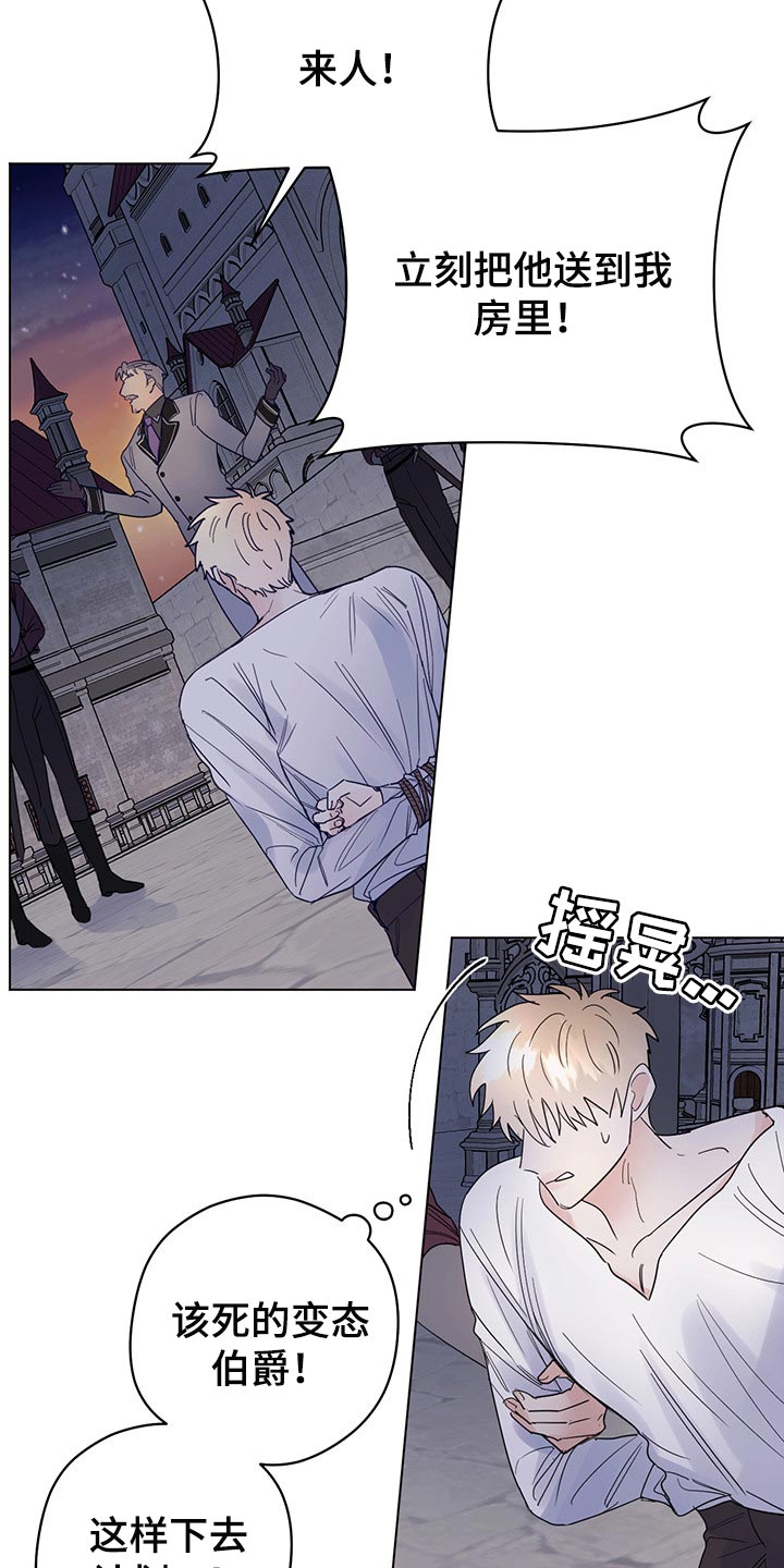 主人的宠物漫画,第94章：【第二季】礼物3图