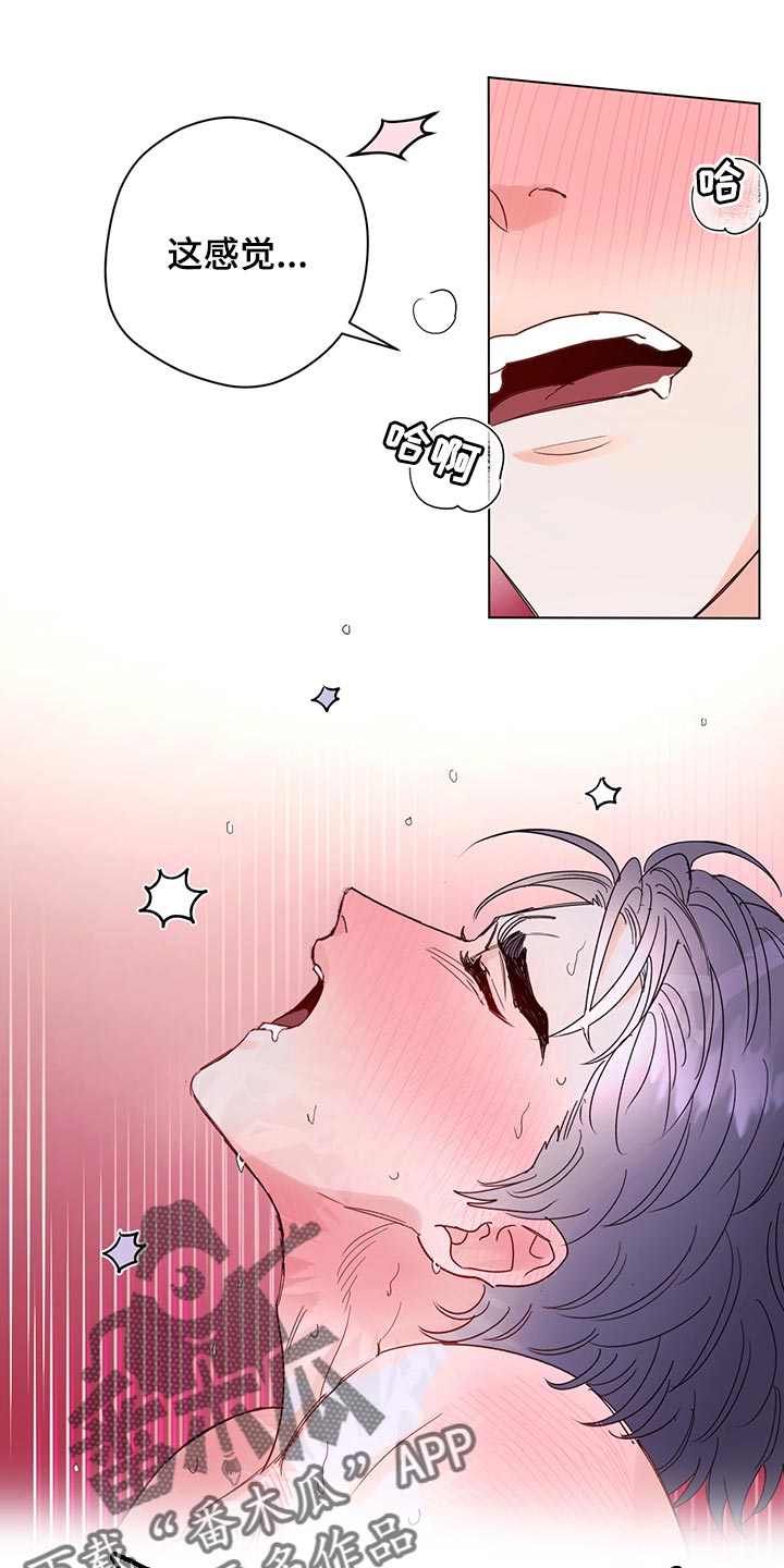 主人的宠物漫画,第105章：【番外】急信4图