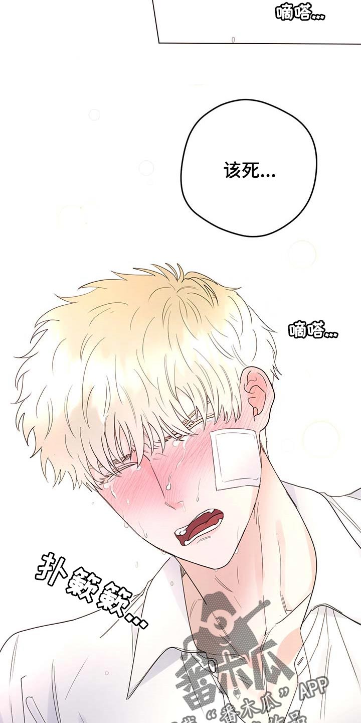 主人的宠物漫画,第99章：【第二季】我相信你们3图