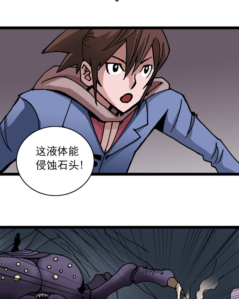 不可思议少年漫画,第25章：蜘蛛与蛤蟆2图