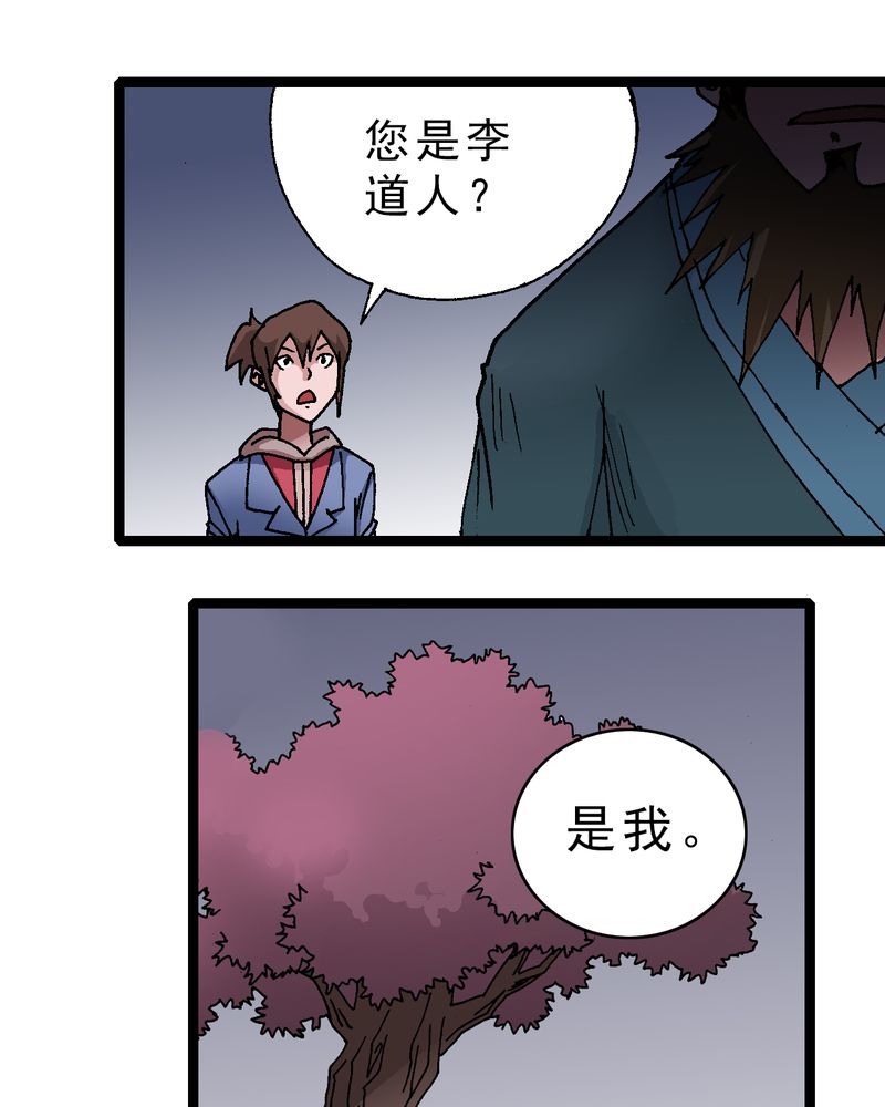 不可思议少年漫画,第11章：李道人5图