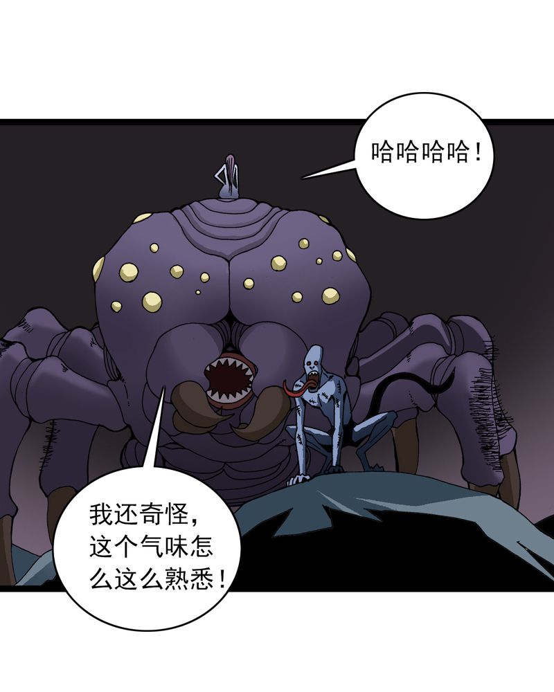 不可思议少年漫画,第25章：蜘蛛与蛤蟆5图