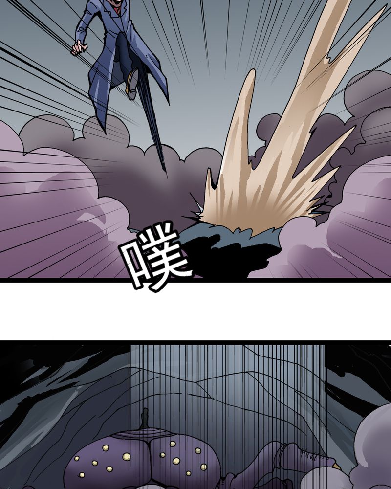不可思议少年漫画,第25章：蜘蛛与蛤蟆5图