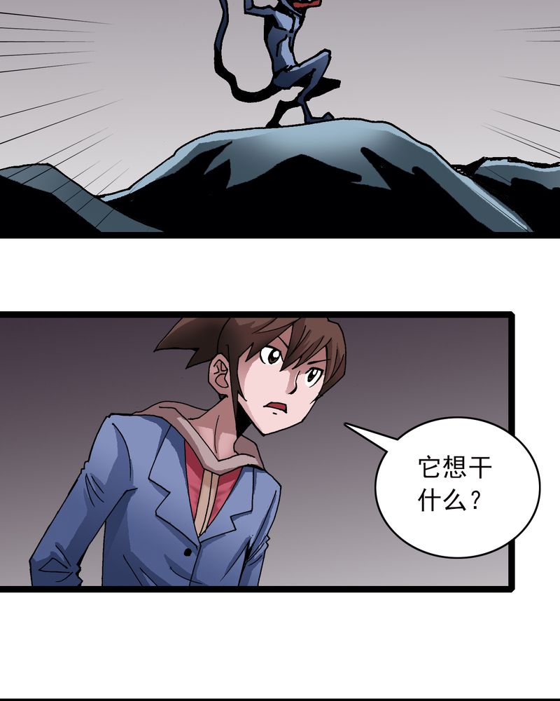不可思议少年漫画,第25章：蜘蛛与蛤蟆5图