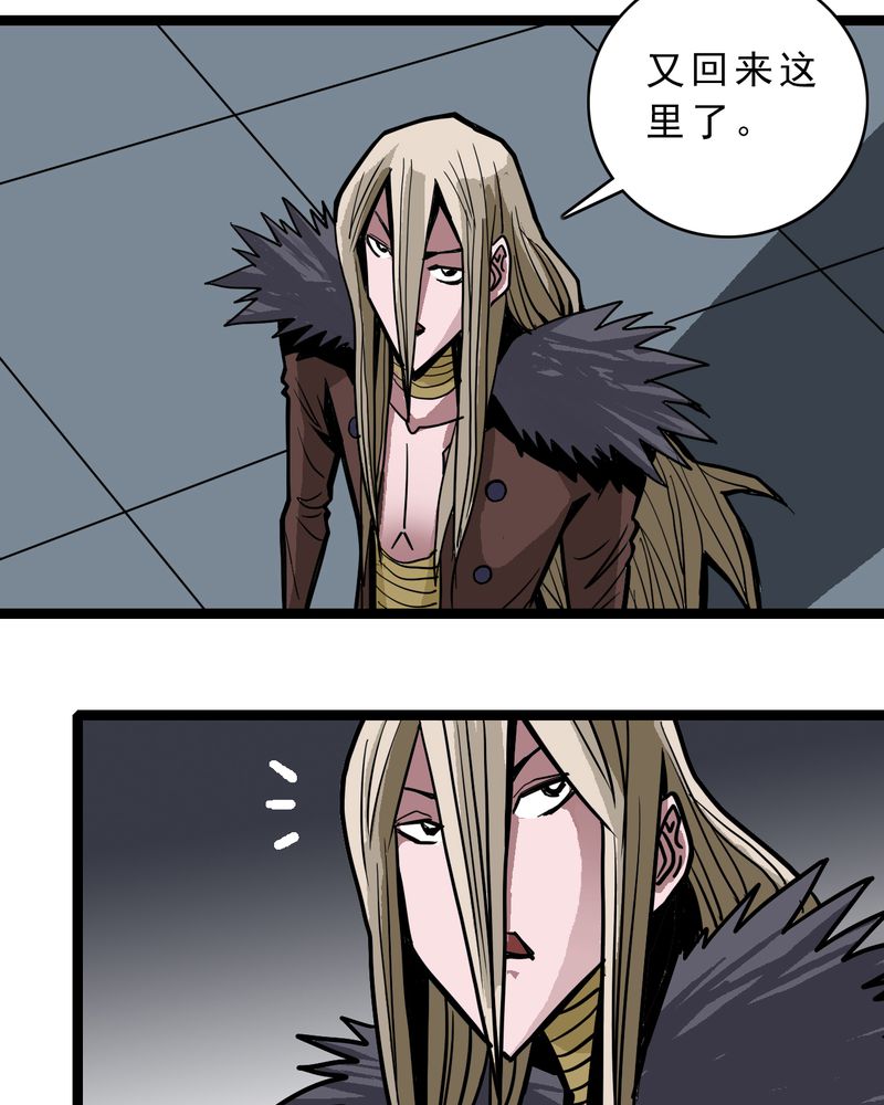 不可思议少年漫画,第46章：暗行者3图