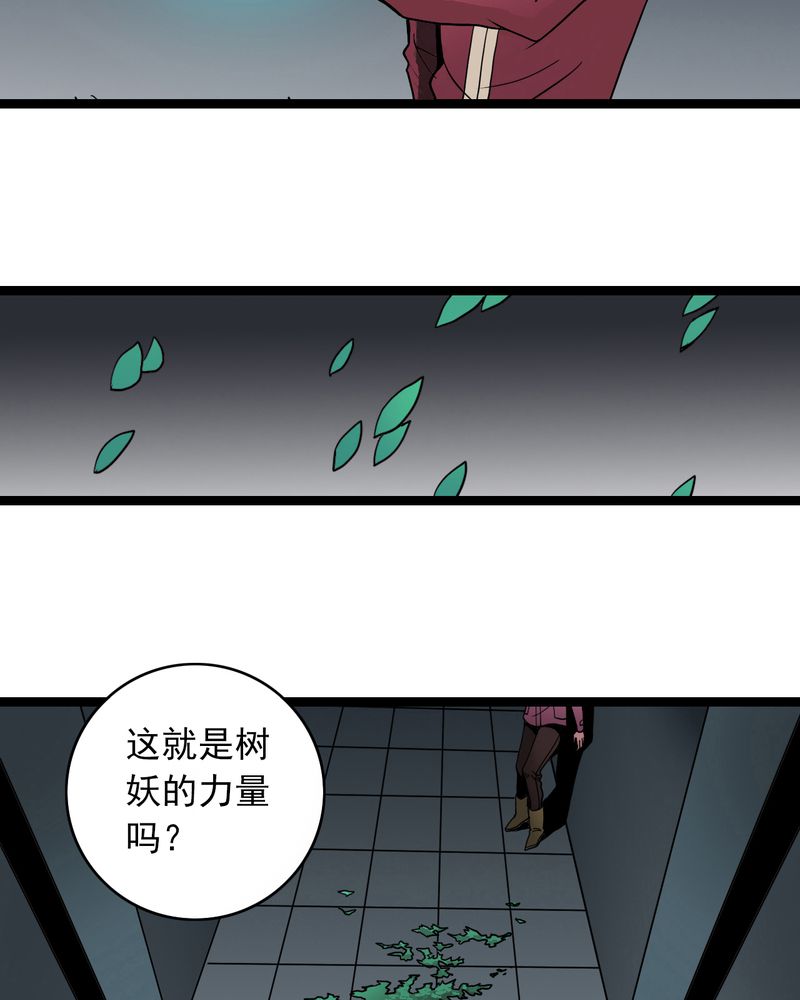 不可思议少年漫画,第38章：墓室的秘密5图