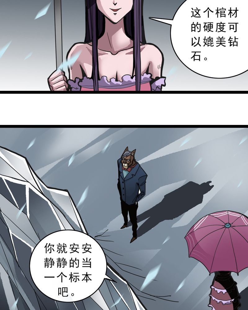 不可思议少年漫画,第39章：树妖1图