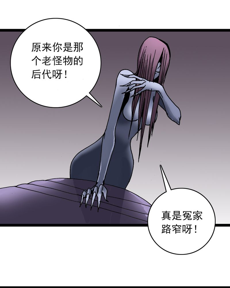 不可思议少年漫画,第25章：蜘蛛与蛤蟆1图
