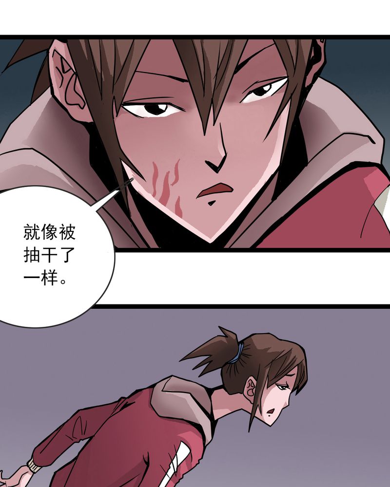 不可思议少年漫画,第38章：墓室的秘密2图