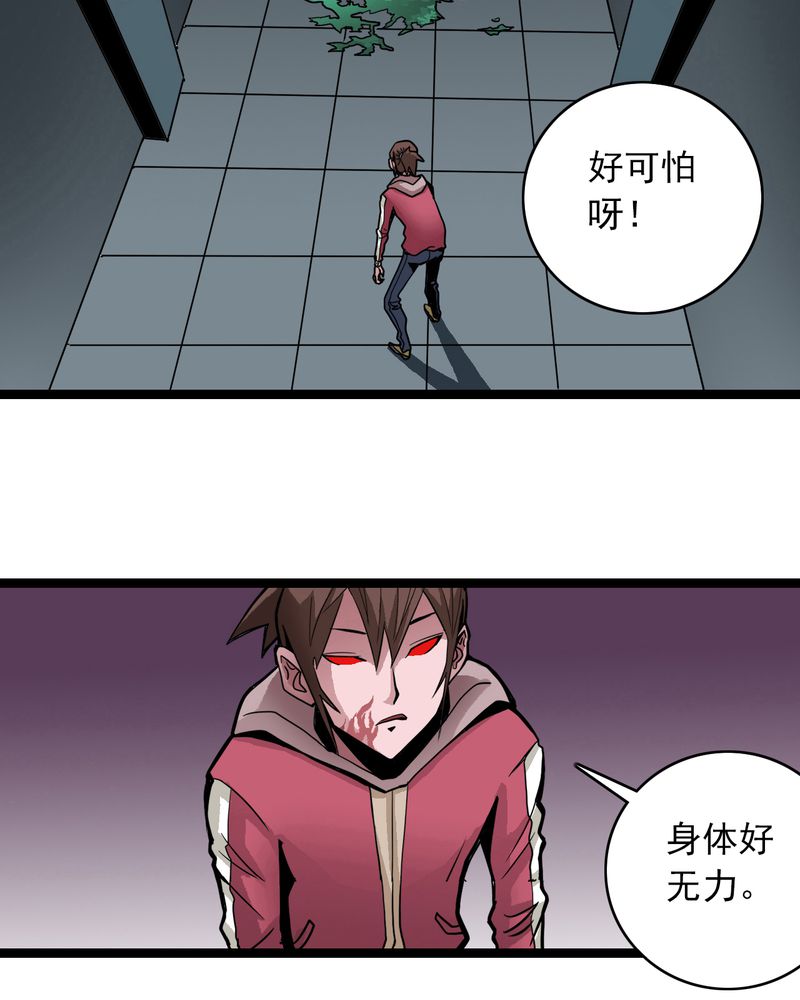 不可思议少年漫画,第38章：墓室的秘密1图