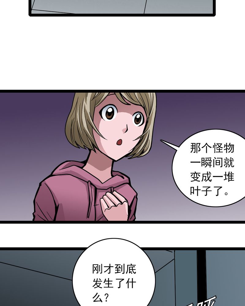 不可思议少年漫画,第38章：墓室的秘密4图