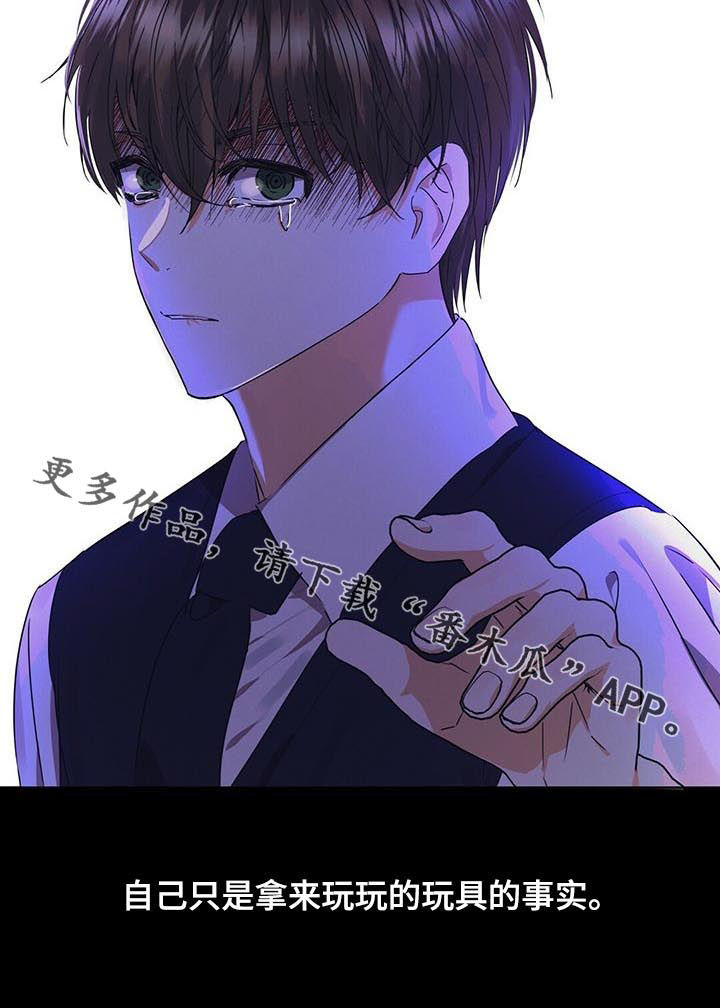 苦味柠檬漫画,第38章：玩具2图