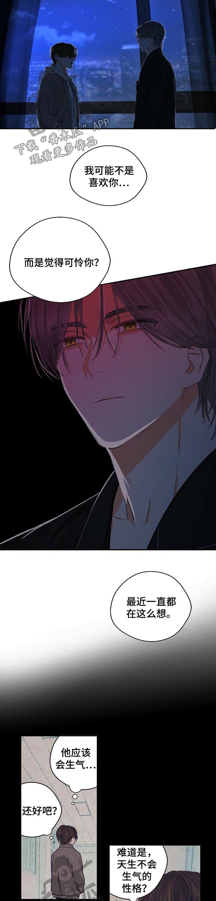 苦味柠檬漫画,第28章：只是可怜你2图