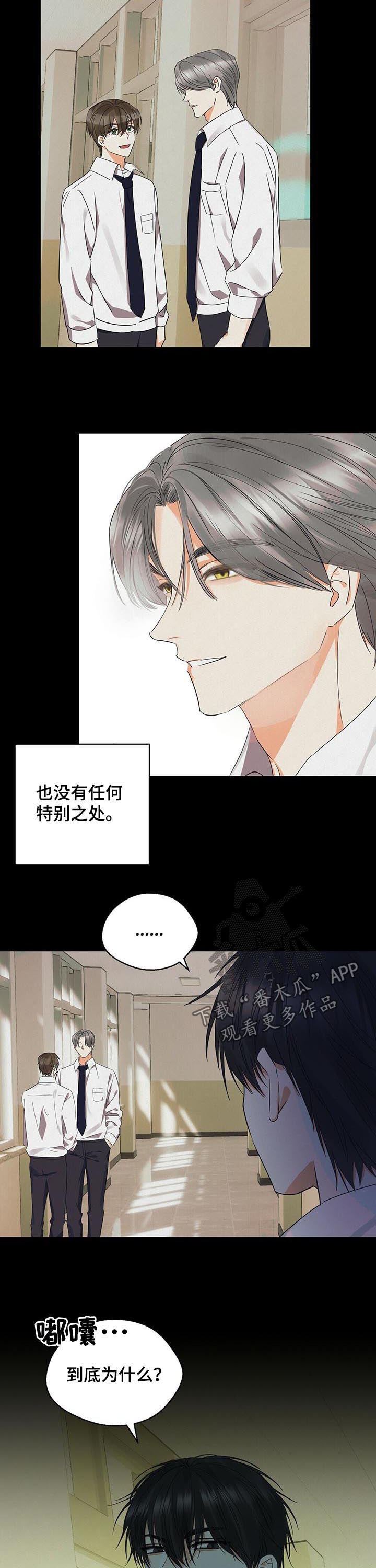 苦味柠檬漫画,第35章：很累很烦4图