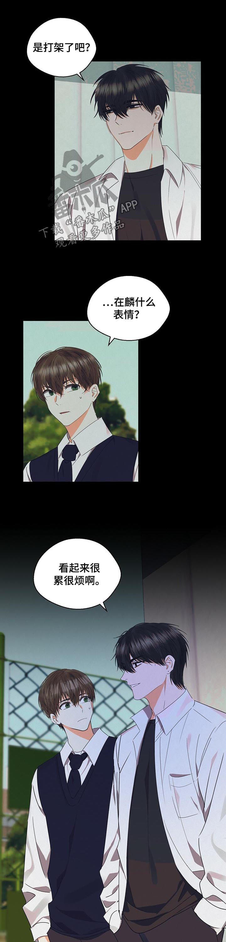 苦味柠檬漫画,第35章：很累很烦1图