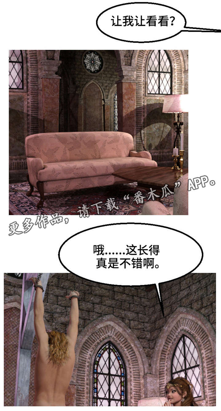 魔力鸟漫画,第10章：出征5图