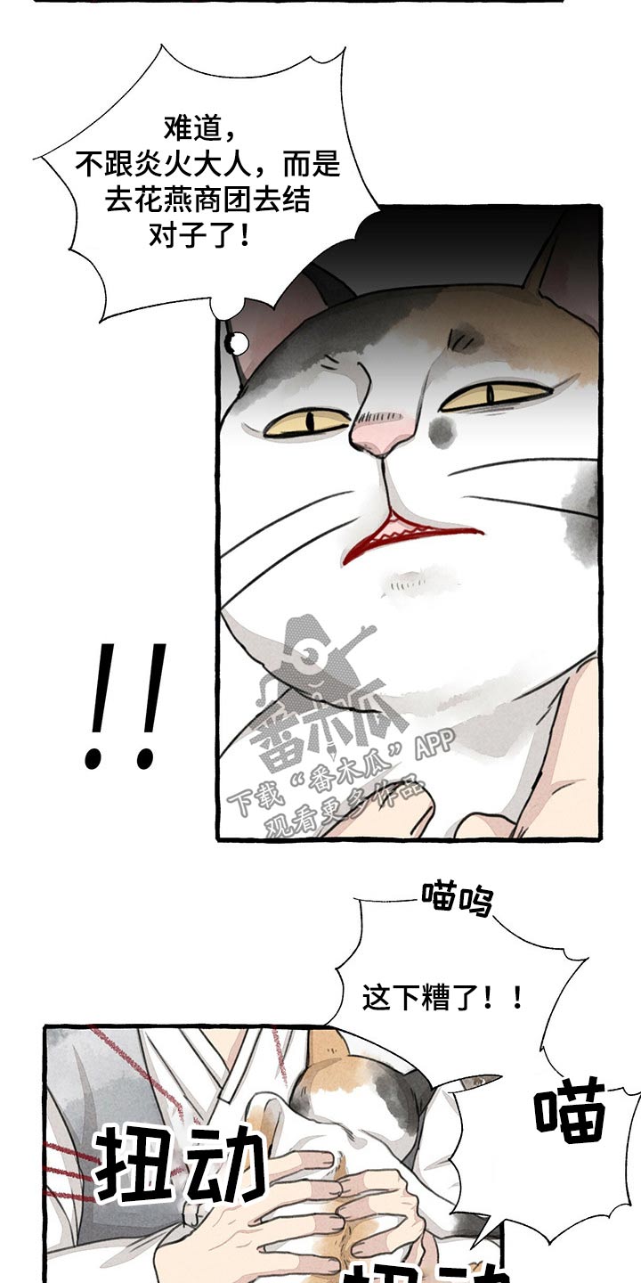 冒险秘密漫画,第128章：猫咪4图