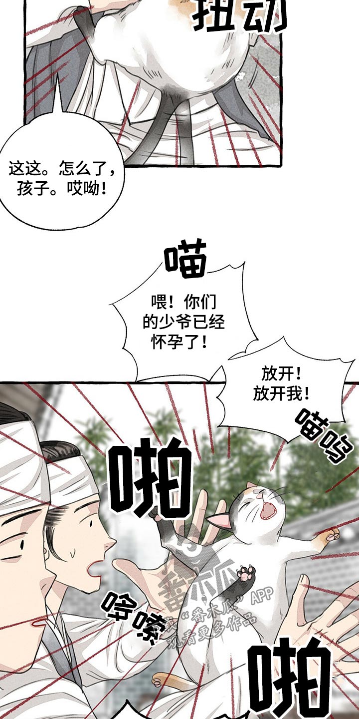 冒险秘密漫画,第128章：猫咪5图