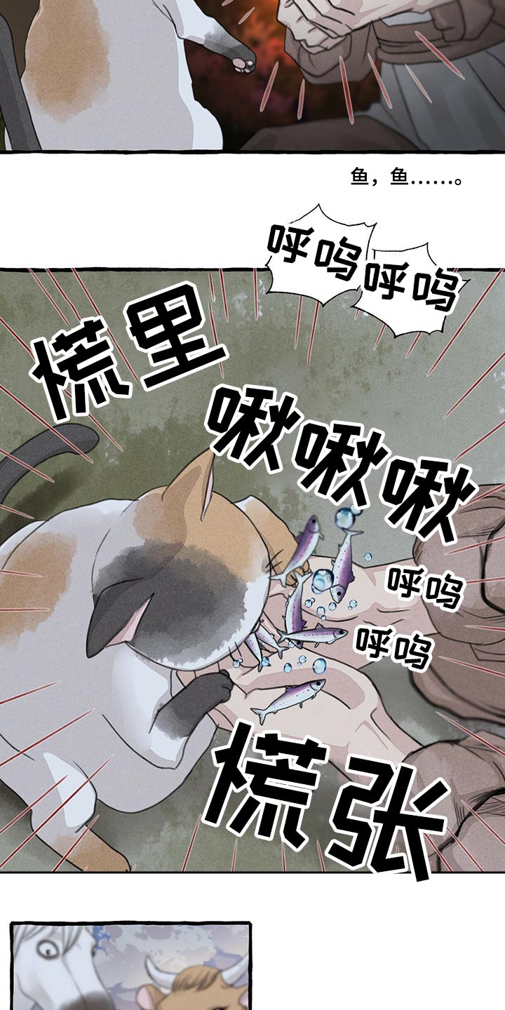 冒险秘密漫画,第149章：无法相信1图