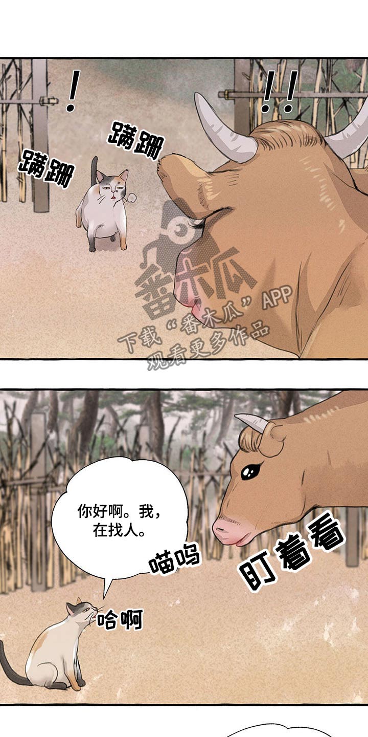 冒险秘密漫画,第119章：悲伤4图