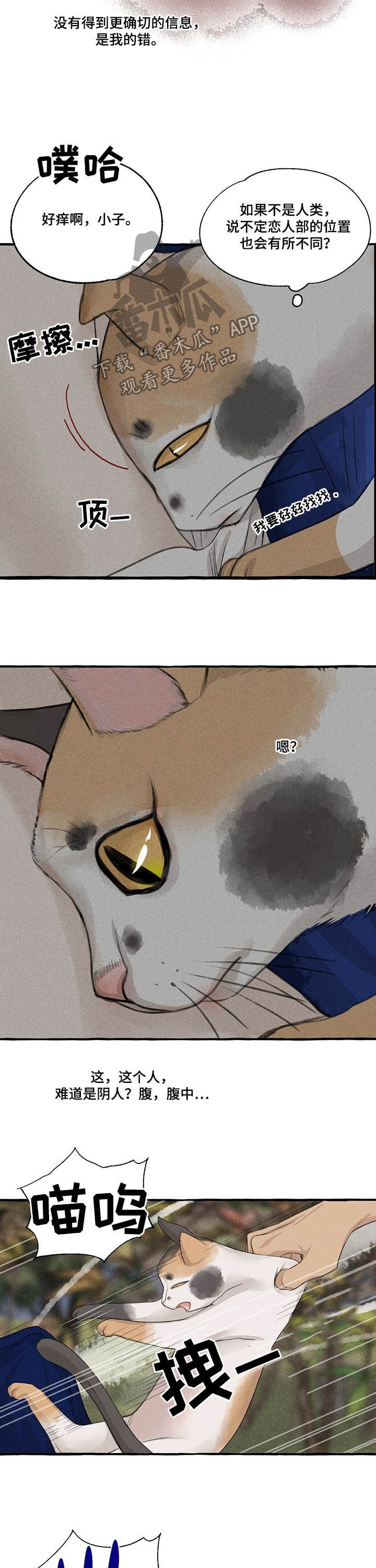 冒险秘密漫画,第105章：胎儿5图