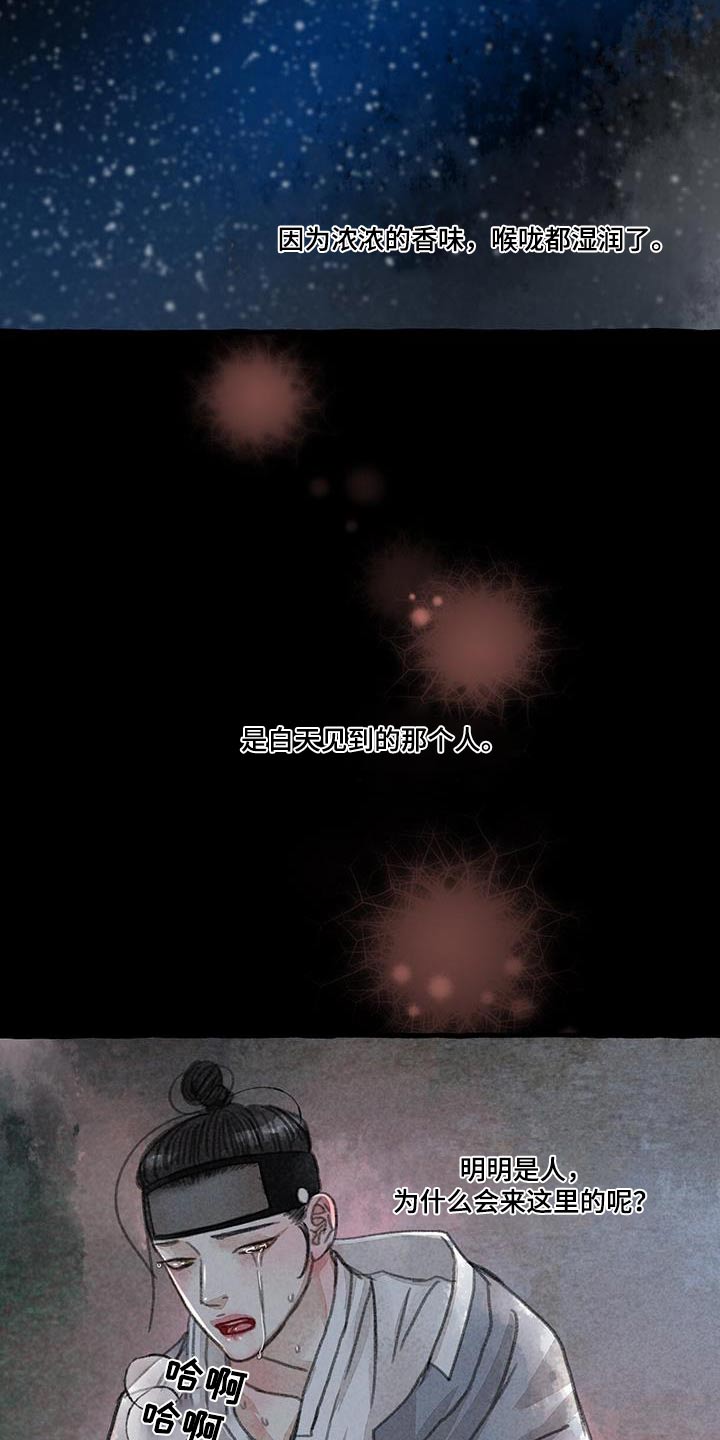 冒险秘密漫画,第173章：宝贵的东西2图