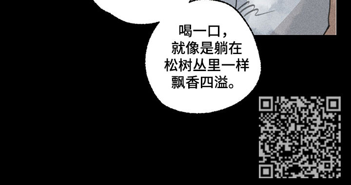 冒险秘密漫画,第44章：婚宴1图