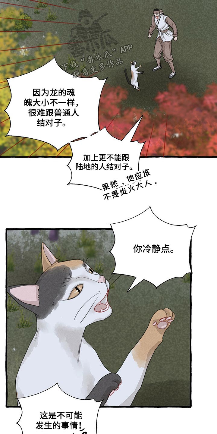 冒险秘密漫画,第149章：无法相信3图